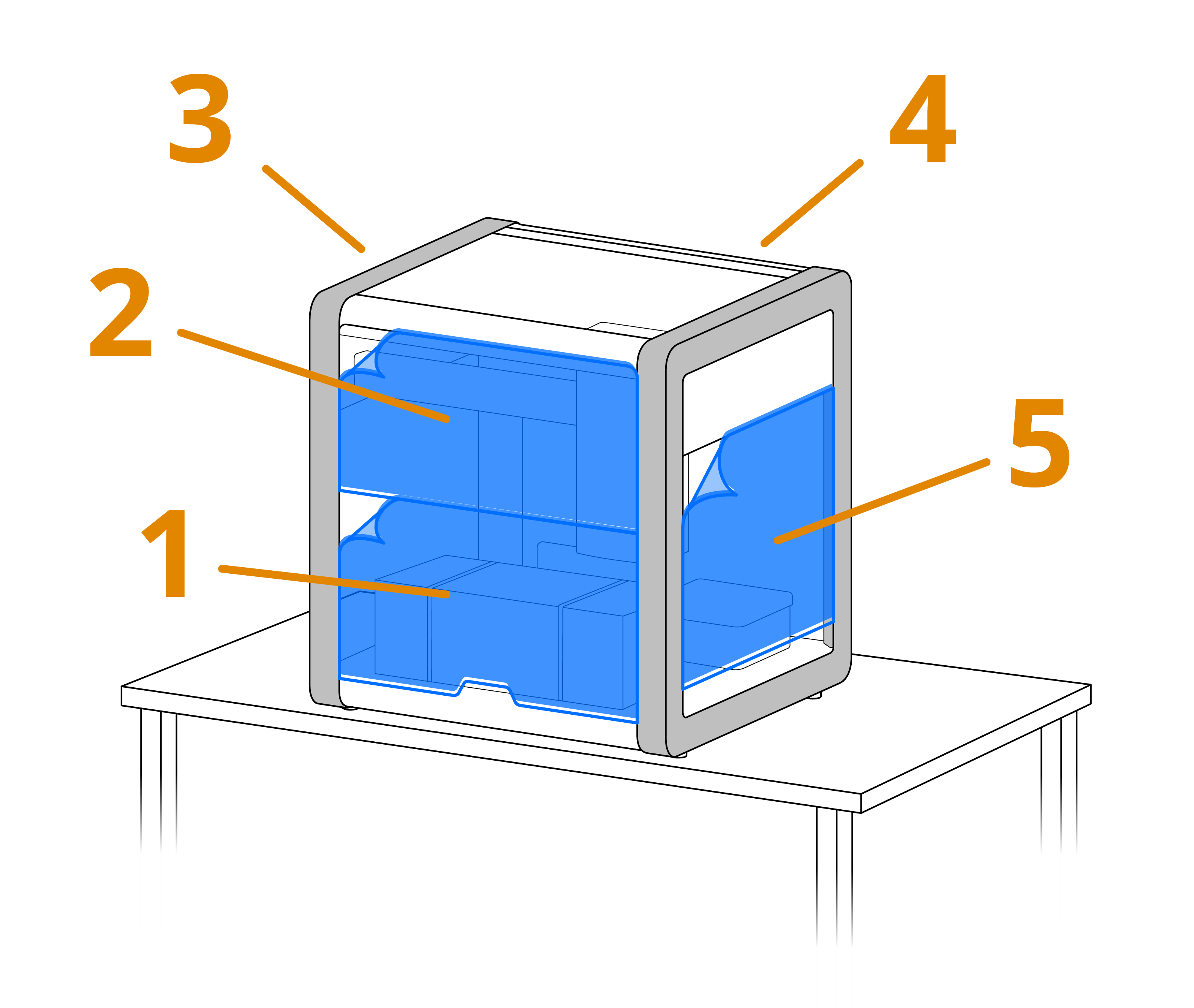 removing the window protective film